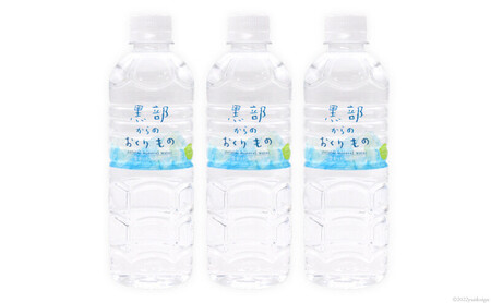 【合計576本】定期便 黒部からのおくりもの 500ml×24本×2ケース×12回 総計288L 名水百選 黒部の名水 防災 アウトドア ペットボトル 飲料水 ミネラルウォーター 2個口配送/IAC/