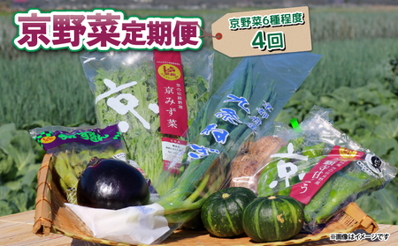 【野菜 定期便4か月】選りすぐり京野菜 旬の野菜定期便4ヶ月 野菜定期便