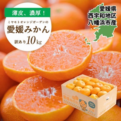 【2025年11月より順次発送】愛媛県八幡浜市産 愛媛みかん10kg【訳あり】【D25−177】【1606099】