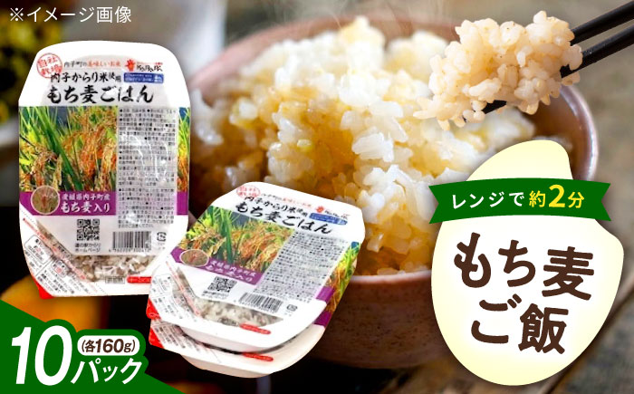 内子からり米使用 もち麦ご飯 10パック 自社栽培内子からり米にこまる・内子町産もち麦使用 ／ 米 もち麦 ごはん 愛媛県産 お米 パックご飯 【株式会社内子フレッシュパークからり】 [BKAD006