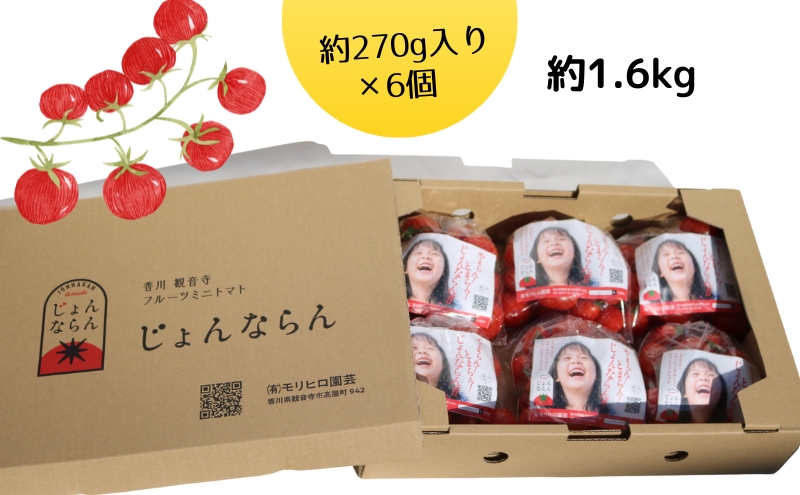 ミニトマト フルーツトマト じょんならん 香川県産 観音寺産 高屋町 約1.6kg 約270g × 6個入り 糖度9度以上 甘い 薄皮 真っ赤 瀬戸内 天空の鳥居 ご自宅用ボックス トマト 野菜 サラダ お取り寄せ ギフト 贈り物 プレゼント 内祝い 香川県 観音寺市