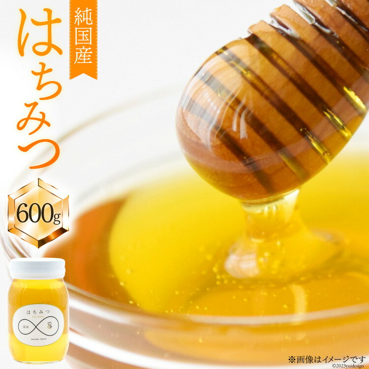 【ふるさと納税】 国産 ハチミツ 600g 1個 [道の駅絵本の里けんぶち 北海道 剣淵町 14656150] はちみつ ハチミツ 蜂蜜 アカシア 簡単 国産はちみつ 純粋はちみつ 家庭用 自体用 トースト ホットケーキ 常温 ふるさと納税