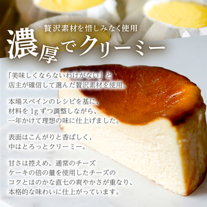 バスクチーズケーキ 定期便 3回 ケーキ ケーキ