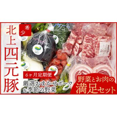 ふるさと納税 北上市 【発送月固定定期便】GIFTON 岩手北上産 四元豚 厳選カット肉と季節のうるおい 野菜セット全6回
