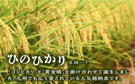 【全3回定期便】糸島産 ひのひかり 5kg × 3回  糸島市 / 三島商店  米 お米 ご飯 白米 ヒノヒカリ ひのひかり 九州 福岡[AIM008]