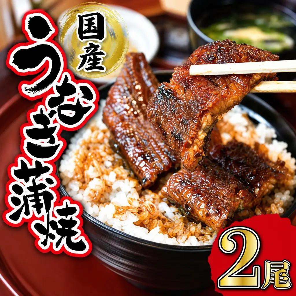 うなぎ 2尾(タレ4本) かば焼きうなぎ