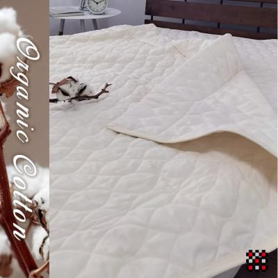 ふるさと納税 和泉市 【シングル】和泉木綿オーガニックコットンガーゼケット　140×190cm　IV　1枚　OG-4K