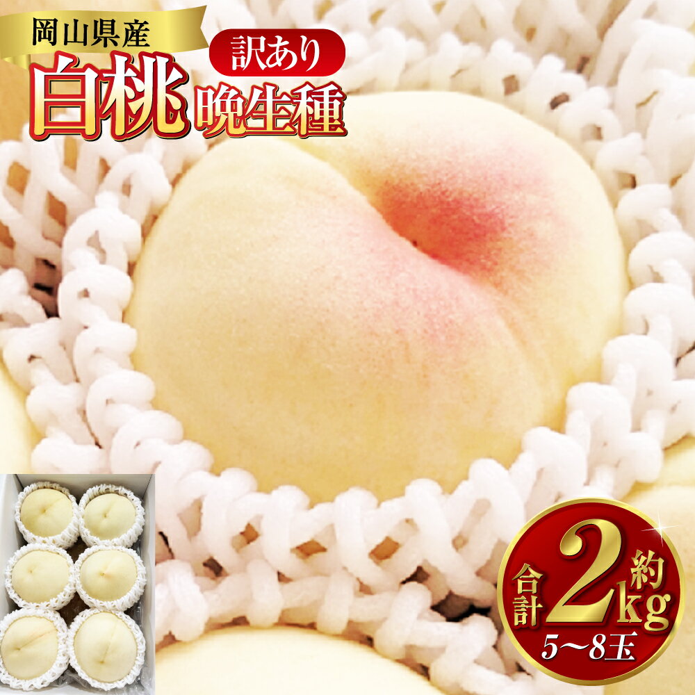【ふるさと納税】桃 2025年 先行予約 訳あり 白桃 約2kg（5～8玉）晩生種 もも モモ 岡山県 倉敷市 産 国産 フルーツ 果物 花田青果　果物・もも・桃・フルーツ　2025年7月下旬～9月下旬発送予定 楽天スーパーSALE 9月開催