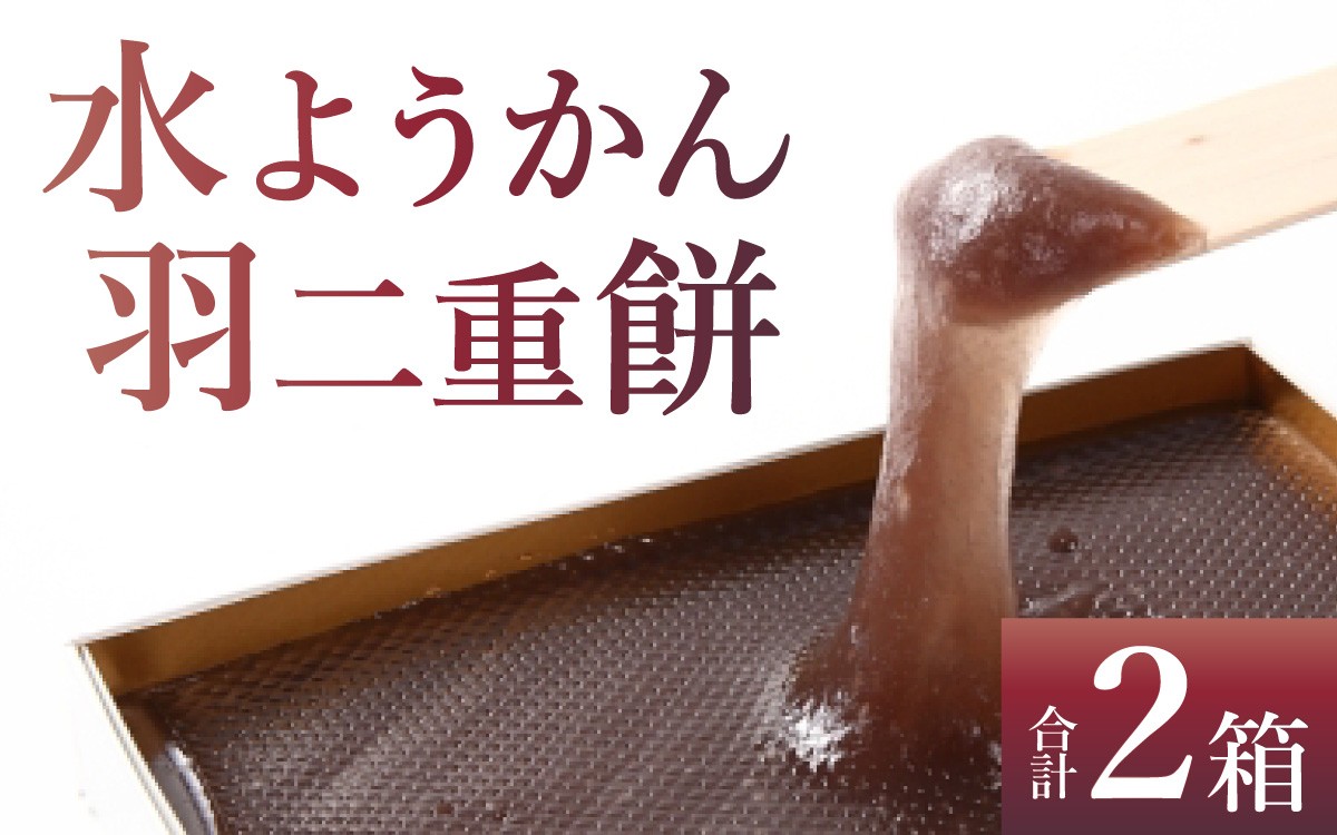 
                  水ようかん 羽二重餅 (1箱 200ｇ)ｘ2箱 羊かん 水ようかん 和菓子 スイーツ  デザート お菓子 おやつ ギフト 人気 プレゼント ご当地 [A-026040]
                
