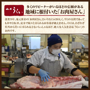 加古川～肉の極み～志方和牛ハンバーグ《志方和牛 和牛 和牛ハンバーグ ハンバーグ 総菜 おかず 調理済 肉 牛肉 送料無料 》