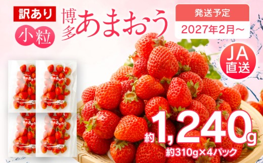  訳あり 小粒あまおう 合計約1240g 約310g×4パック【2027年2月より順次発送】