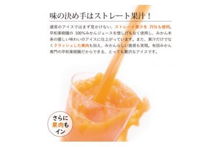 【早和果樹園】みかんアイスバー30本入（氷菓）(B495-1)