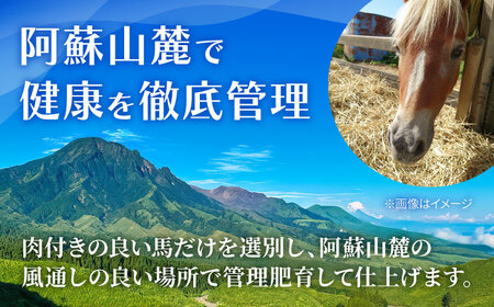 【フジチク】 ふじ馬刺し カット不要 切れてる 馬刺し 約50g×6人前（計約300g）タレ付き 赤身 馬 馬肉 肉 スライス 熊本県 【亀井通産 株式会社】[AYBQ050]