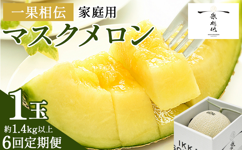 【６回定期便】一果相伝マスクメロン 家庭用 1玉入り- めろん 青肉 自宅用 ジューシー 果汁 至福 美味しい 甘い あまい 篤農 産地直送 高知県 香南市 常温 Wtn-0039