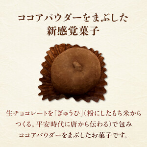 生ちょこ大福 12個入×2箱【ささもり 菓子 おかし 食品  贈り物 宮城県 人気 おすすめ 送料無料】