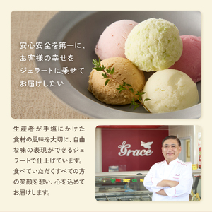 山形ジェラート ＆ ジェラートマエストロお勧め 12個 詰合せ ( 9種類 より セレクト 100ml /個 ) ジェラート アイス ジェラートマエストロ