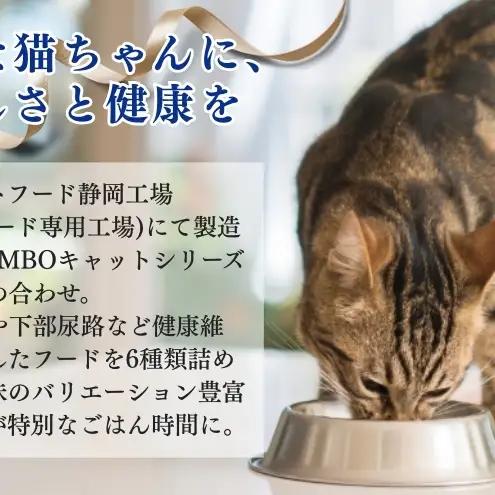 キャットフード コンボ 6種類 アソート セット キャットフード