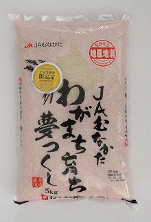 【福岡県産米】夢つくし5kg 令和6年産[F2233]