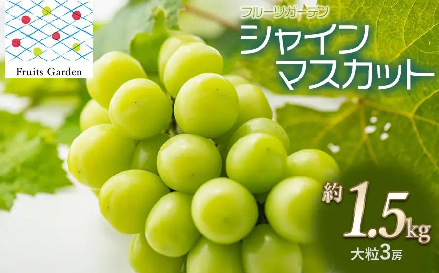 【令和8年産】 シャインマスカット 約1.5kg 大粒3房 山形県鶴岡市 フルーツガーデン