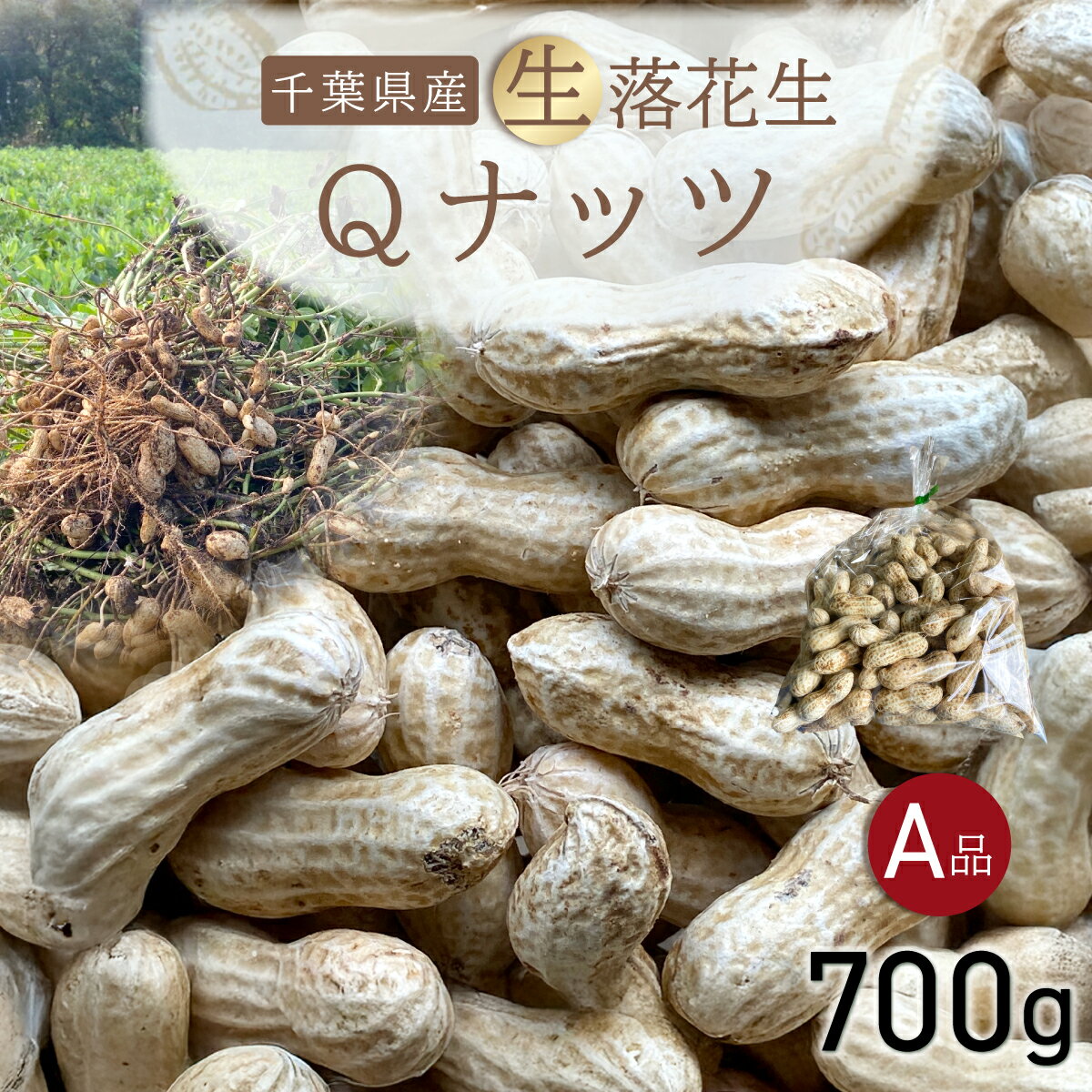 【ふるさと納税】【先行受付・9月中旬より順次発送！】Qナッツ 生落花生 700g SMAH013／ふるさと納税 落花生 生 生落花生 Qナッツ 生Qナッツ A品 大粒 希少 旬 季節限定 ふっくら 柔らか ほくほく 甘い 塩ゆで 千葉県 山武市 千葉県産