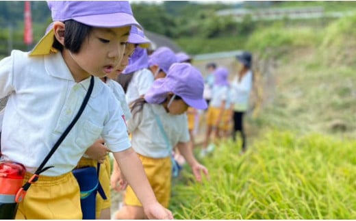 有田町の子どもたちが作ったお米で地域を活性化したい！