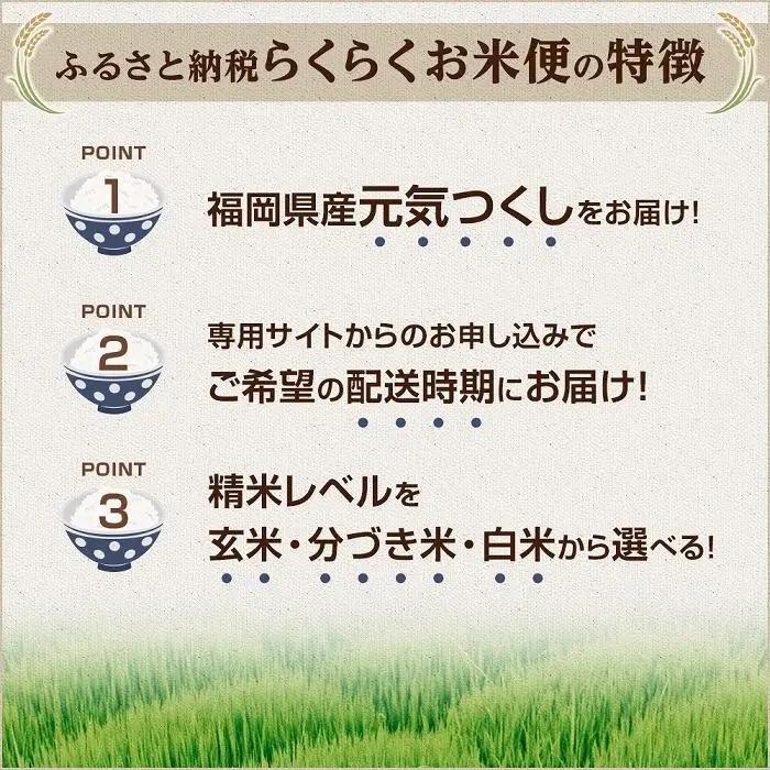 米【特A評価獲得】福岡県産 元気つくし ふるさと納税 らくらくお米便 30kg コース ｜米