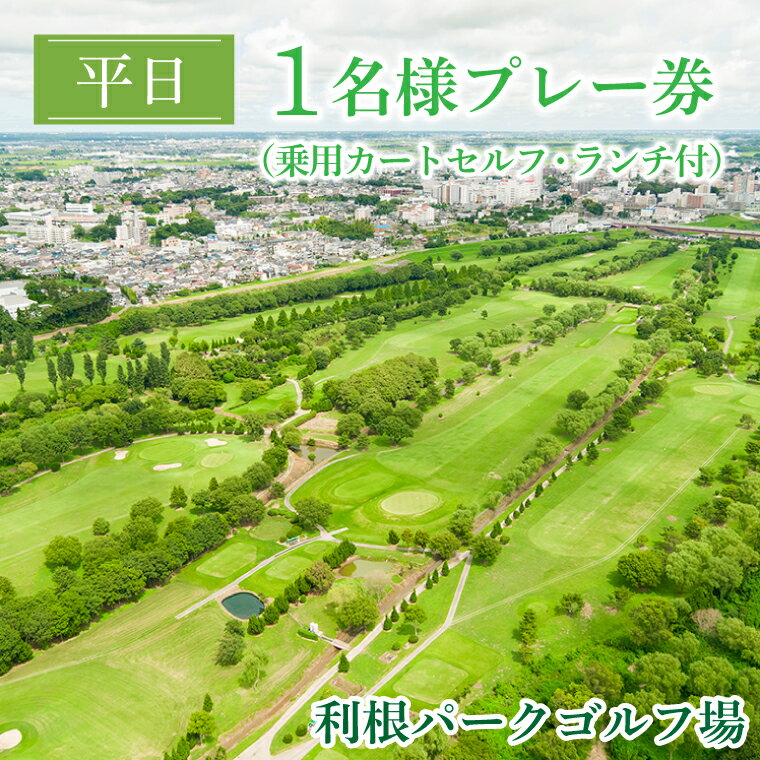 【ふるさと納税】平日1名様プレー券（乗用カートセルフ・ランチ付）（AJ001）利根パークゴルフ場