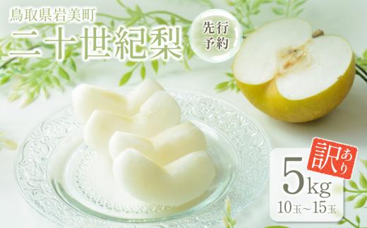 【先行予約】（訳あり）中野農園 梨 ”二十世紀梨” 5kg箱｜鳥取 岩美 梨 なし ナシ 青梨 果物 フルーツ【41027】