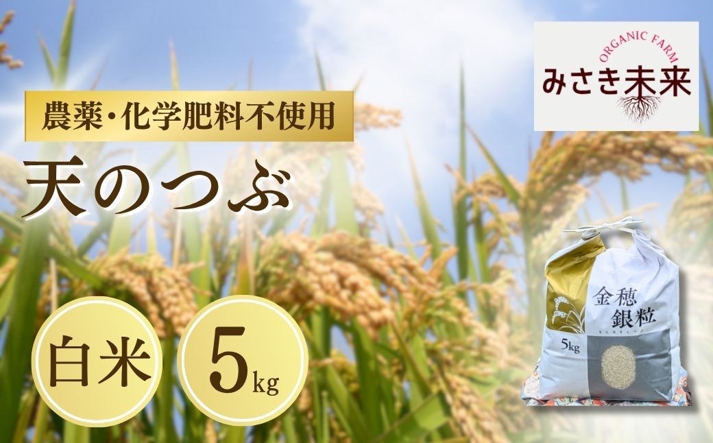 【先行予約】天のつぶ 白米 5kg 令和8年産 | 無農薬 農薬不使用 化学肥料不使用 精米 お米 米 こめ コメ 福島産 福島県産 南相馬 みさき未来 天のつぶ co024-aa