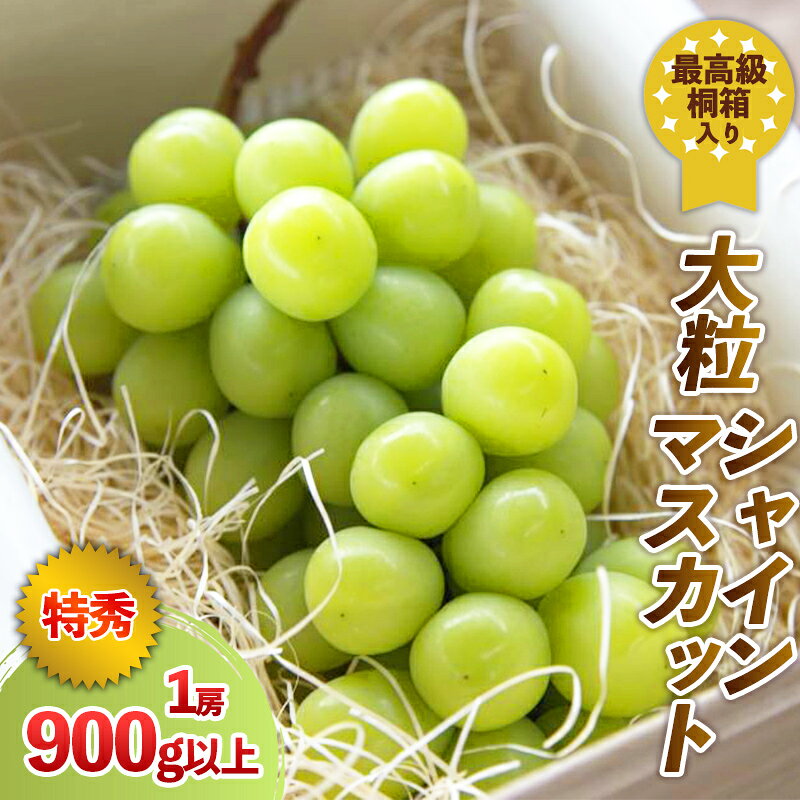 【ふるさと納税】最高級桐箱入り 大粒 シャインマスカット 特秀品 900g以上【令和9年産先行予約】FS94-043山形県 山形市 お取り寄せ 2027年産 フルーツ 先行予約 種なし 葡萄 ぶどう マスカット 果物 くだもの 人気 送料無料 新鮮 採れたて デザート 産地直送 贈答 ギフト