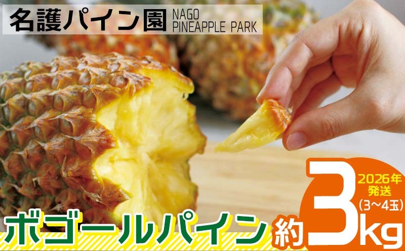 
                  2026年発送【名護パイン園】　ボゴールパイン約3kg（3～4玉） 先行予約 パイナップル 甘い ジューシー デザート 取り寄せ 高級フルーツ 家族 子供 果物 旬 おすすめ ギフト 人気 家庭用 贈答用 母の日 ゴールドバレル 期間限定 年末 沖縄
                
