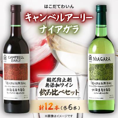 ふるさと納税 七飯町 酸化防止剤無添加ワイン　飲み比べセット　12本(キャンベルアーリー6本・ナイアガラ6本)