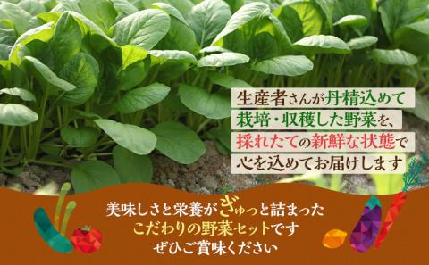 とれたて野菜パック 定期便4回 (2ヶ月おき) 季節の野菜セット 詰め合わせ 10品前後 ジャガイモ 人参 大根 小松菜 白ネギ グリンリフ チンゲン菜 椎茸 トマト 水菜 葉ネギ 人気 厳選 袋井市