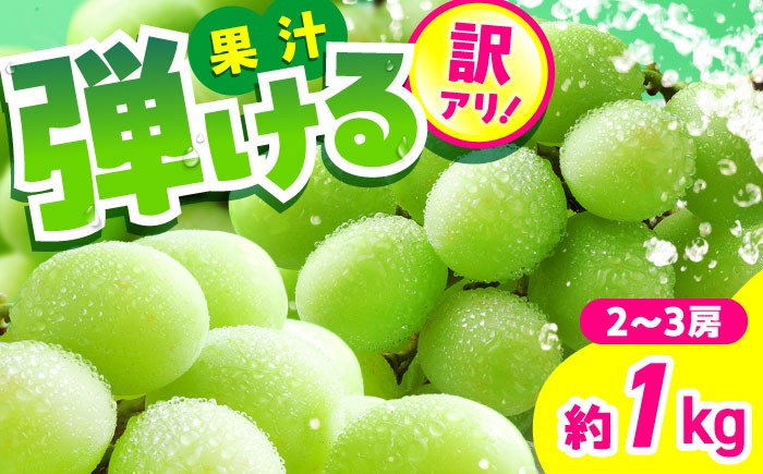 
            【先行予約】【訳あり】シャインマスカット　約1kg（2〜3房）　【中島農園】 [AYCX003]
          
