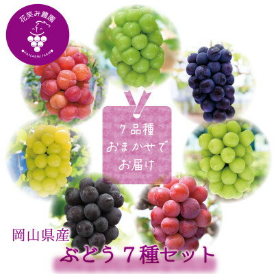【ふるさと納税】【2026年先行予約】岡山　花笑み農園のブドウ『食べ比べ7種セット』7M-5【配送不可地域：離島】【1695982】