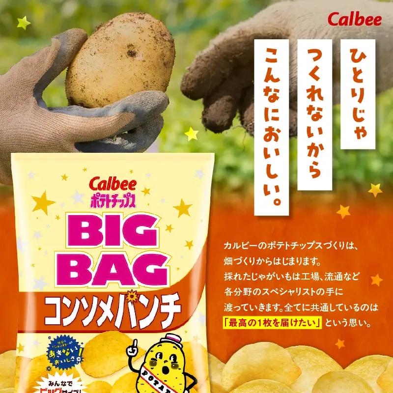 カルビー ポテトチップス BIGBAG【コンソメパンチ】12袋 K194-002_06 菓子