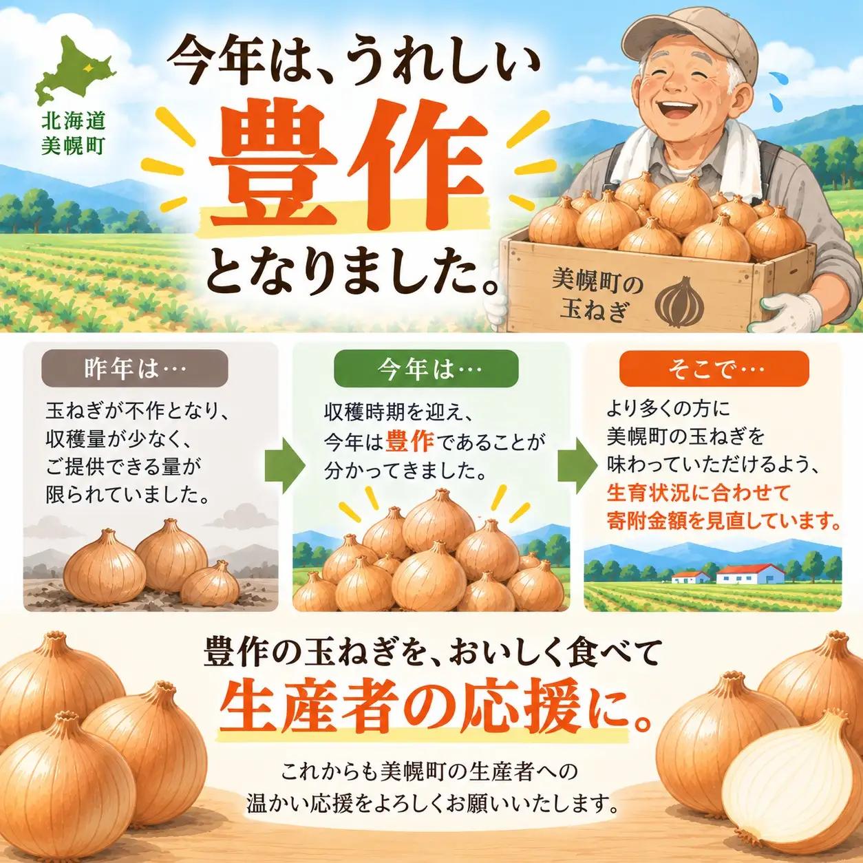 【先行予約】美幌たまねぎ 10kg 玉ねぎ たまねぎ