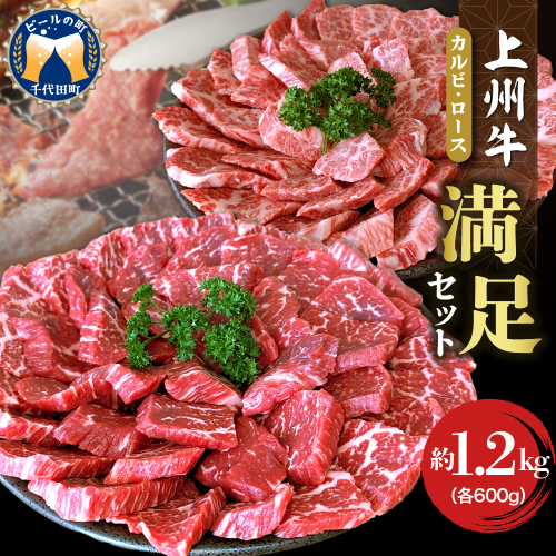 上州牛カルビロース満足セット 約1.0kg(各500g×2パック)
