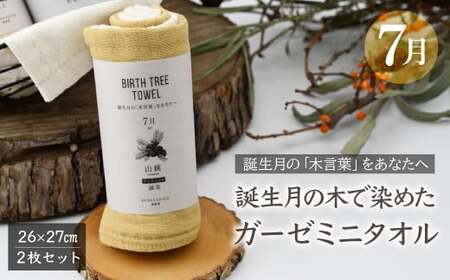 7月「山桃」の木言葉 「誠実」 BIRTH TREE TOWEL |  ガーゼ ガーゼ ガーゼ ガーゼ ガーゼタオル ガーゼハンカチ タオル ハンカチ ふわふわ 草木染 染め RYOKUSUIEN 緑酔園 埼玉県 草加市 草加