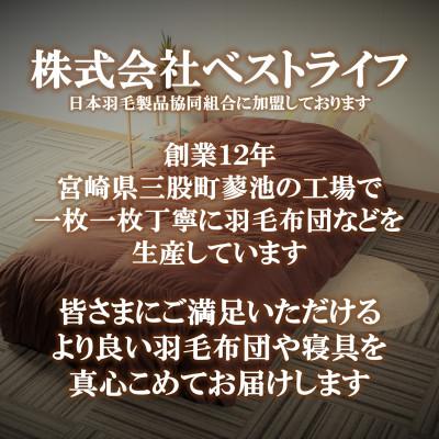 ふるさと納税 三股町 【数量限定】抱き枕1個【訳あり】【MI296】 |  | 03