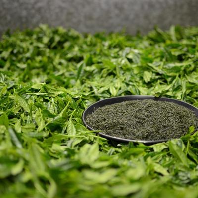 ふるさと納税 佐世保市 世知原茶「遠見の露」「遠見の彩」「ふくめ」詰合せ |  | 01