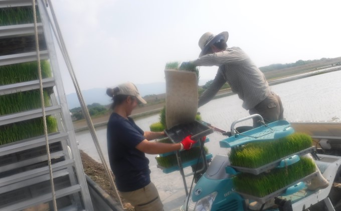 お米5kgと季節のお野菜セット