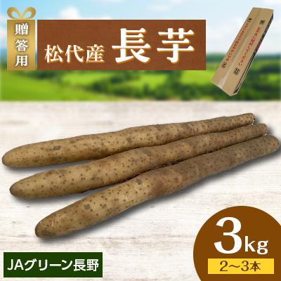 ふるさと納税 長野市 【先行受付】JAグリーン長野　松代産　長芋　3kg(2〜3本)　贈答用