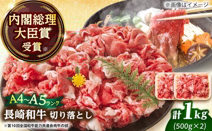 
            【A4～A5】長崎和牛切り落とし 1kg (500g×2p）【株式会社 MEAT PLUS】 [DBS006] 切り落とし 牛肉 和牛 切り落とし 冷凍 国産牛肉 きりおとし 切り落とし
          