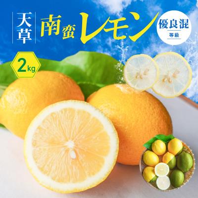 ふるさと納税 天草市 天草南蛮レモン　等級「優良混」2kg_S131-005A