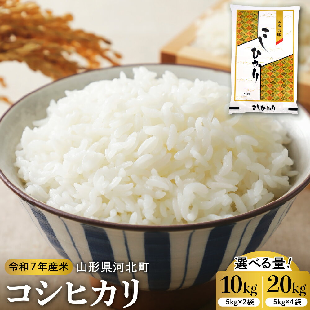【ふるさと納税】【 令和7年産 】 コシヒカリ 10kg 20kg 山形県産 先行予約 | こしひかり発送時期が選べる 精米 白米 お米 こめ ごはん ご飯 お取り寄せ 予約 山形 産地直送 送料無料 山形県 河北町【米COMEかほく協同組合】