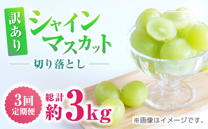 【先行予約】　【3回定期便】　訳あり シャインマスカット 切り落とし 約1kg  【合同会社 社方園】 [ZBZ047]