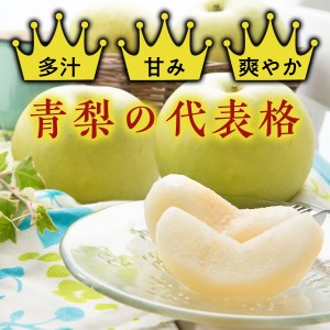 Y014 二十世紀梨(赤秀) 2.4kg