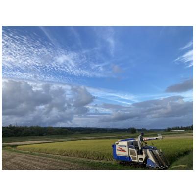 ふるさと納税 十日町市 【令和7年産】　魚沼産　新之助　5kg |  | 02