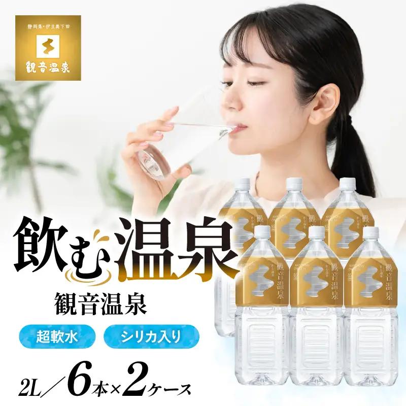 飲む温泉　観音温泉水　2リットル(6本入)　2ケース